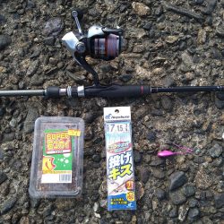 キスの50匹超え